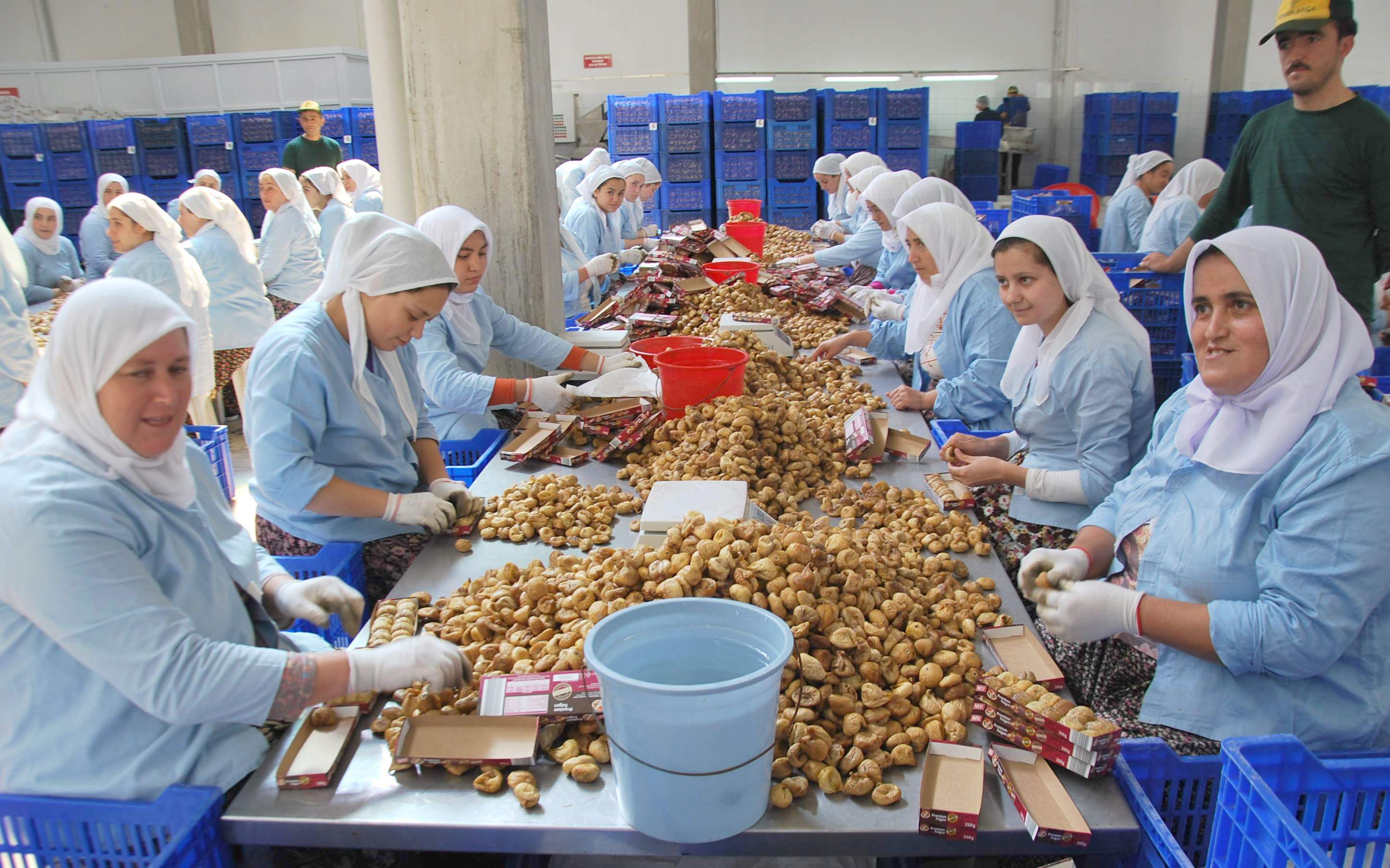 4 ayda 169 milyon dolarlık ihracat yapıldı
