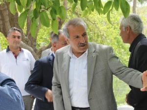 Şahin, Kuluncak’ta