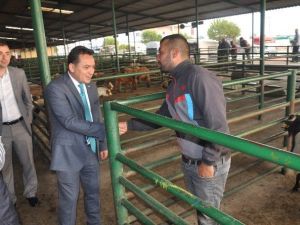 Hasan Eryılmaz’dan Sabah 6.30 Mesaisi