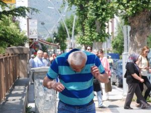 Kovandan Kaçıp Şehre İnen Arılar Vatandaşlara Zor Anlar Yaşattı