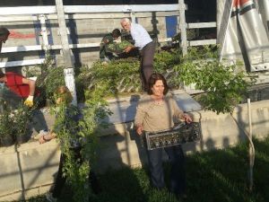 Yüksekova Çiçeklerle Renklendirilecek