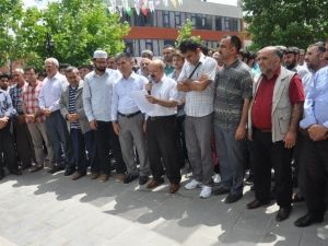 Mursi’nin İdamına Kararı Kahta’da Protesto Edildi