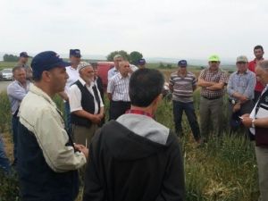 Malkara’da Çiftçilere Tarla Okulu Eğitimi Verildi