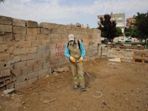 Haliliye Belediyesi’nde Yoğun İlaçlama Mesaisi