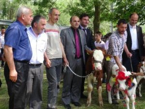 Düzce’de Dünya Süt Günü Kutlandı