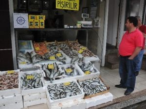 Balık Fiyatları Tavan Yaptı