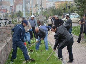Fidan Dikim Çalışmaları Kür-kale Rekrasyon Alanıda Devam Ediyor