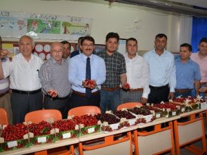 Şehzadeler, 26’ncı Kiraz Festivali’ne Renk Kattı