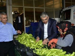 MHP’li Tarkan Akıllı Serik Hal’inde