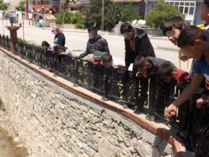 Zorlu Yolculuk, Çocuk Engeline Takıldı