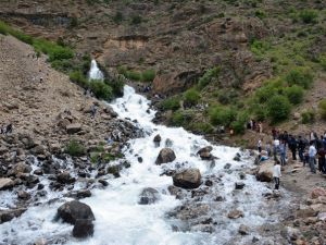 Kanisipi Ceviz, Bal, Alabalık Ve Doğa Festivali