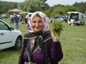 Şenlikte Buluştular