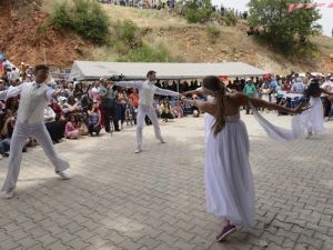 Mersin’de 8. Gezende Erik Festivali Coşkusu