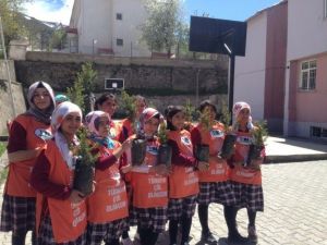 TEMA Vakfı’ndan Ağaçlandırma Çalışması