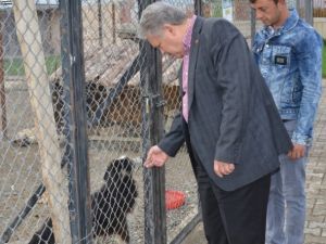 Vali Kahraman Hayvan Barınağında İncelemelerde Bulundu