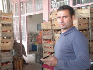 Nar Üreticileri Bu Yıl Umutlu