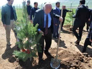 Şehit Savcı Kiraz İçin Bitlis’te Hatıra Ormanı Oluşturuldu