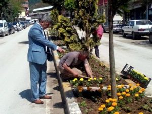 Yığılca Modern Hale Geliyor