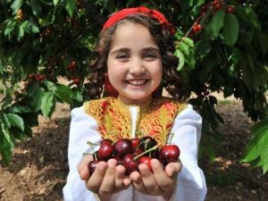 Buca Kiraz Festivali’ne Hazır