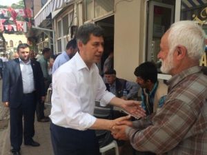 Gömeç’te Poyrazlı Rüzgarı Esti