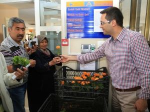 Emlak Vergisini Yatıranlara Mevsimlik Çiçek Hediye