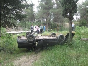 Kediye Çarpmamak İsterken Kaza Yaptı