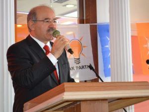 AK Parti Genel Başkan Yardımcısı Çelik: "AK Parti Tökezlerse Ekonomi De Tökezler"