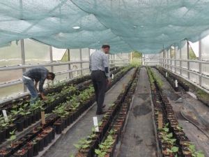 Fedakar Öğrenciden Örnek Davranış