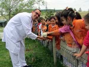 Ana Okulu Öğrencileri Hayvan Barınağında