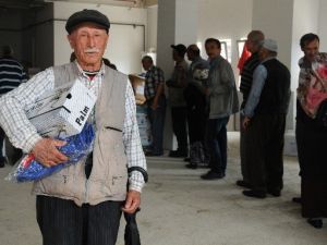 Dedeler Ve Neneler Koşu İçin Hazır