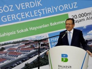 Türkiye’nin En Büyük Hayvan Bakımevinde Temel Atıldı