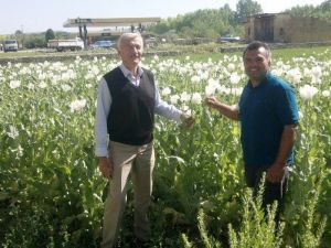 Haşhaş Kapsülü Üreticisinin Yüzü Güldü