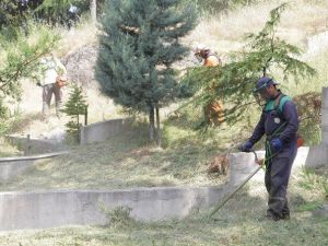 Başiskele Mezarlıkları Bakıma Alındı