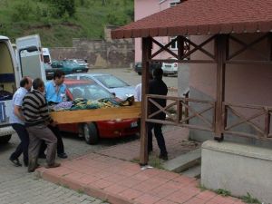 Kastamonu’da Ormana Giden Köy Muhtarı Ölü Bulundu