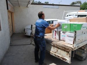 Büyükşehirden İlçe Belediyelere Haşereyle Mücadele Desteği