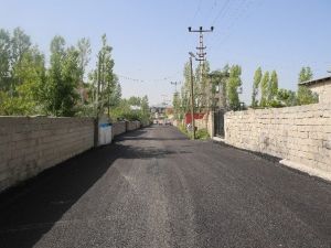 Tuşba Belediyesi Farkındalık Oluşturmaya Devam Ediyor