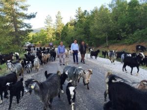 AK Parti’li Uslu, “Bize Her Yer Antalya”