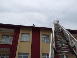 Çatıdan Düşen Sığırcık Yavrusuna İtfaiye Sahip Çıktı