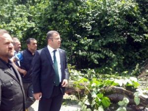 Hikmet Keskin, Heyelan Bölgesini İnceledi