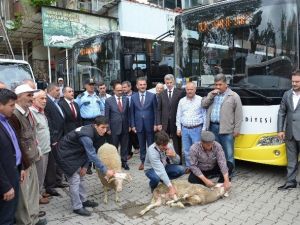 Gemlik-bursa Hattı Artık Daha Konforlu