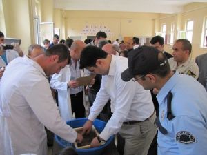 Kaymakam Savran, Doğal Yöntemle Kağıt İmal Etti