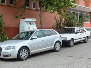 Hatalı Parklar Sokak Hayvanlarına Engel Oluyor