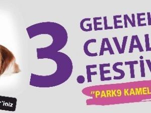 En Büyük Cavalier Festivali