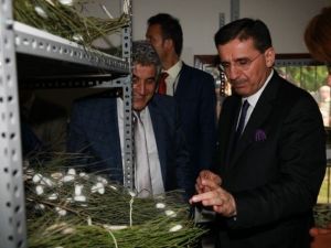 Vali Topaca, Defne Koza Evi’ni Ziyaret Etti