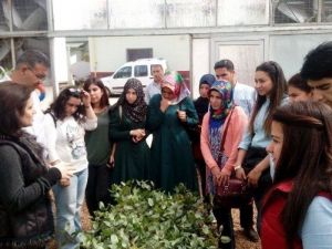 Dicle Üniversitesi Ziraat Fakültesi Öğrencilerinden Teknik Gezi
