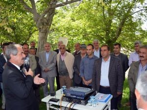 90 Bin TL Değerindeki Aşılı Ceviz Projesinin İlk Adımı Atıldı