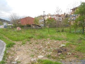 Tüysüzler Yeni Bir Parka Kavuşuyor