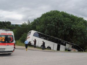 Aniden Hareket Eden Otobüsü Ağaç Durdurdu: 40 Yaralı