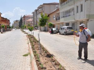 Böceklere Karşı İlaçlama Çalışmaları Devam Ediyor