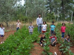 Minikler, Okul Bahçesinde Meyve Ve Sebze Yetiştirdi